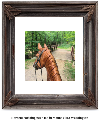 horseback riding near me in Mount Vista, Washington